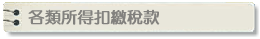各類所得扣繳稅款